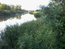 A Molnár-sziget