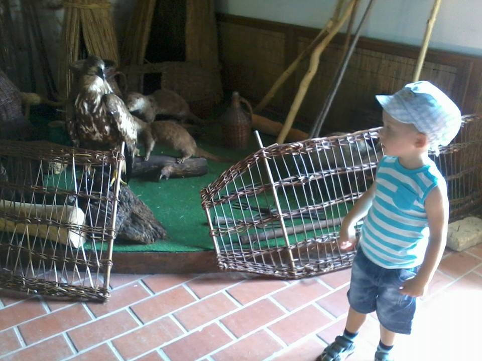 Toma éppen a furfangos halfogókat nézegeti :)