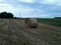 Nyár
