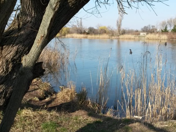 20150317_144252