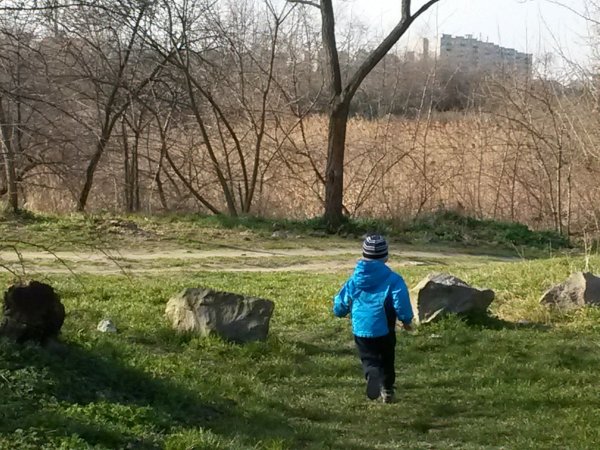 20150317_150134