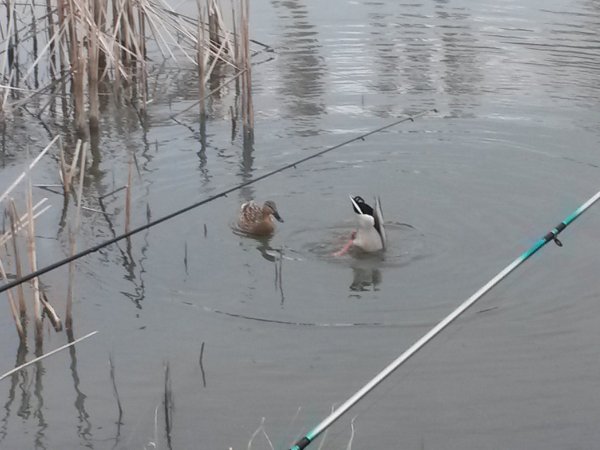 20150329_165436