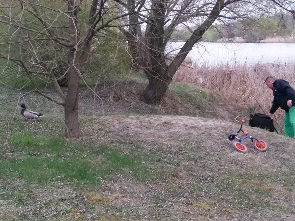 20150329_180243