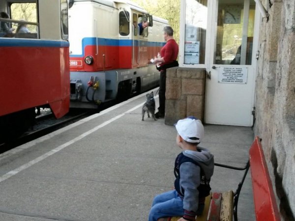 11140137_878873382178251_7341468586871703818_n