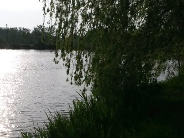 20150502_175635