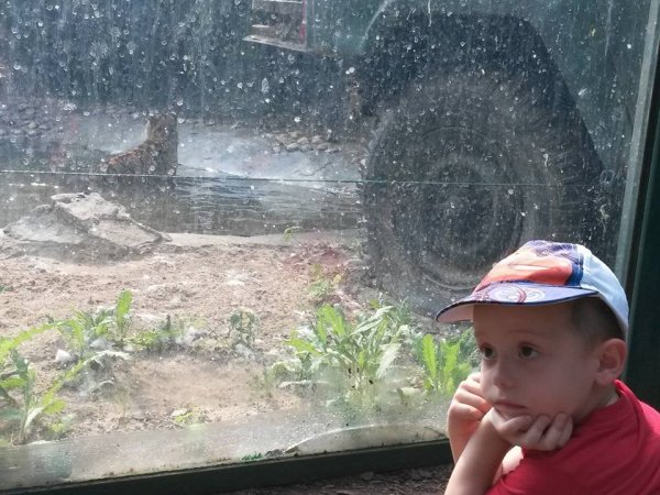 10414853_929655603766695_1233869097615710685_n