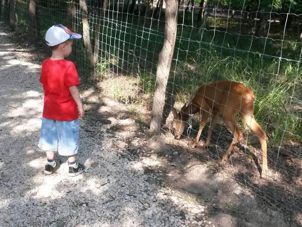 11028031_935031463229109_935203470938500434_n