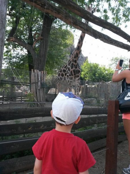 11219071_929655587100030_7743725421544831685_n