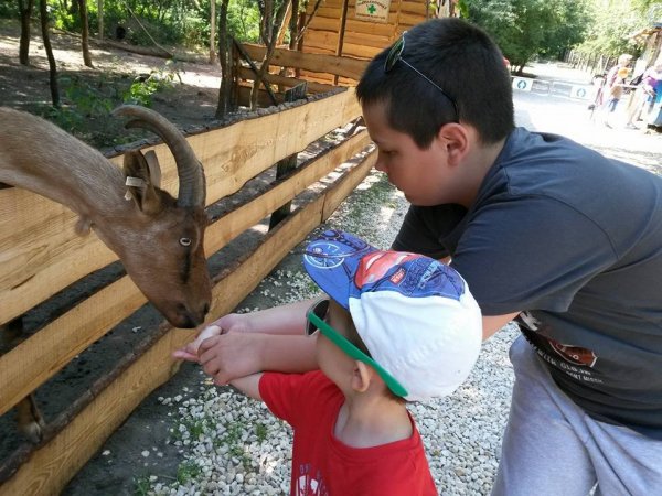 11222706_935031403229115_8183564905072886969_n