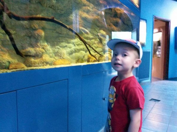 11540932_929655523766703_2702533872411961468_n