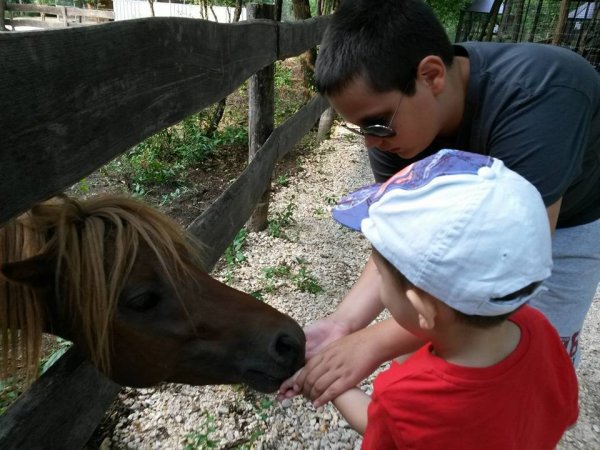 11742684_935031433229112_2276047325293950334_n