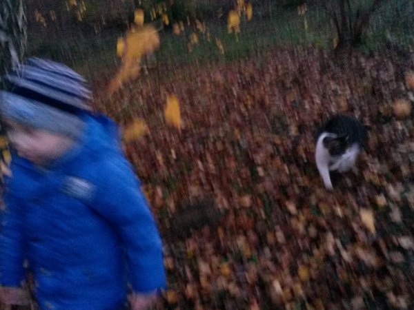20151211_160951