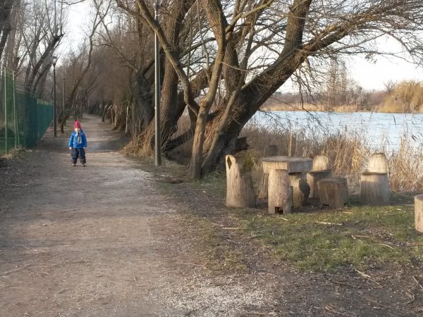 20160207_154646