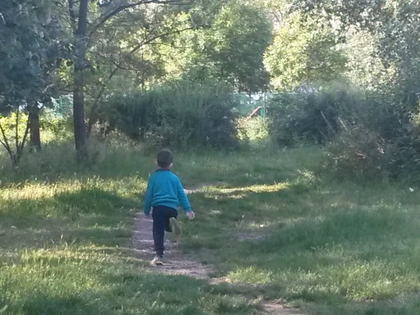 20160520_081958