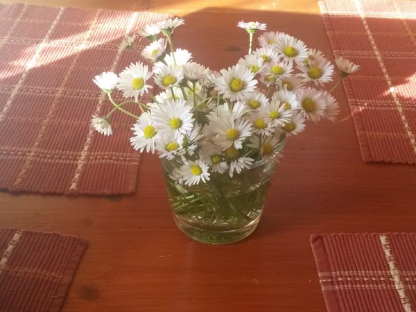 20160521_074037