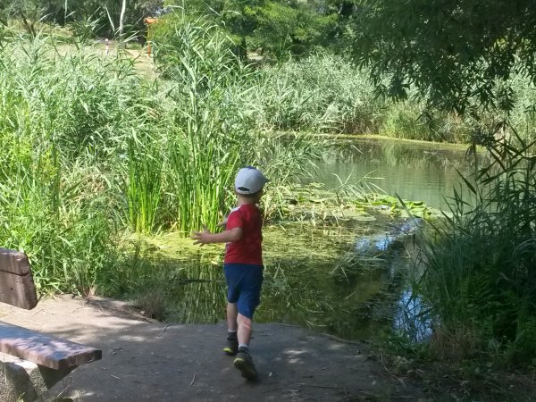 20160718_123749