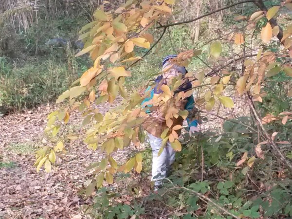 20161104_142319