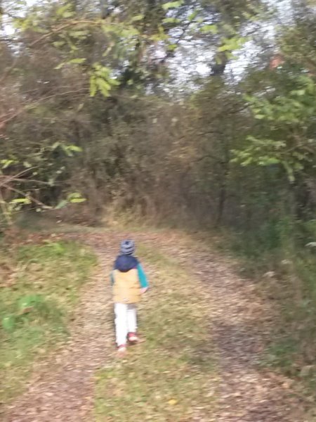 20161104_142337