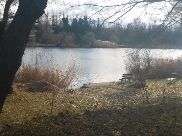 20161202_114428